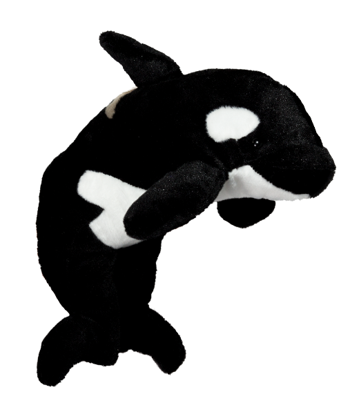 Onyx the Orca