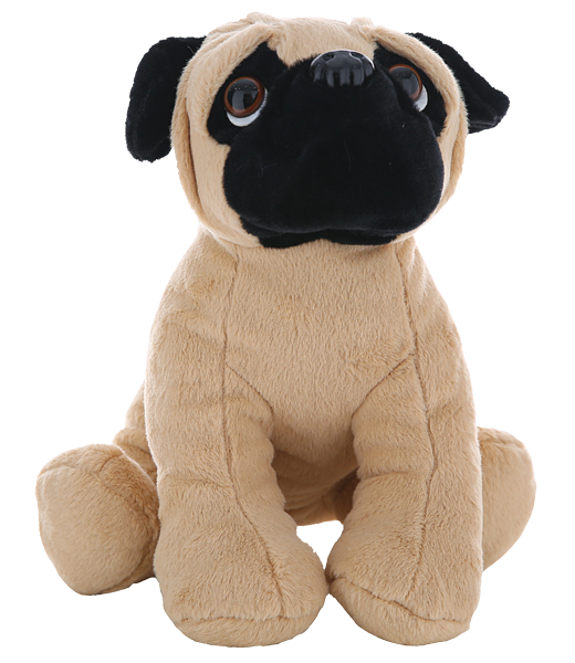 Pugsley the Pug